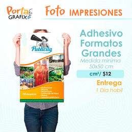 Impresión Adhesivo